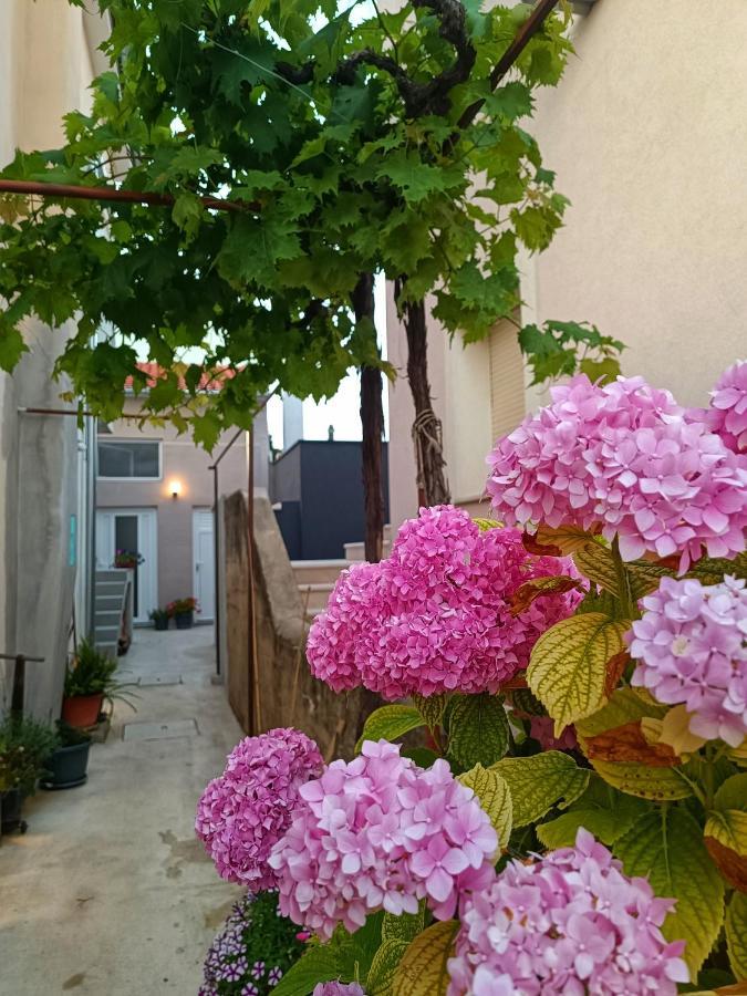 Apartman Gallery Freya Zadar Eksteriør bilde